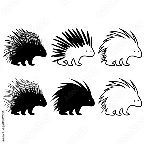 Six cute porcupines in different styles black and white vector illustration