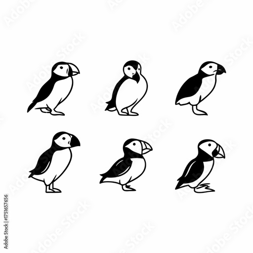 Six cute puffins in different styles black and white vector illustration