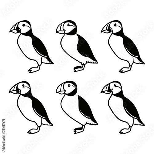 Six cute puffins black and white vector illustration of seabirds in different poses