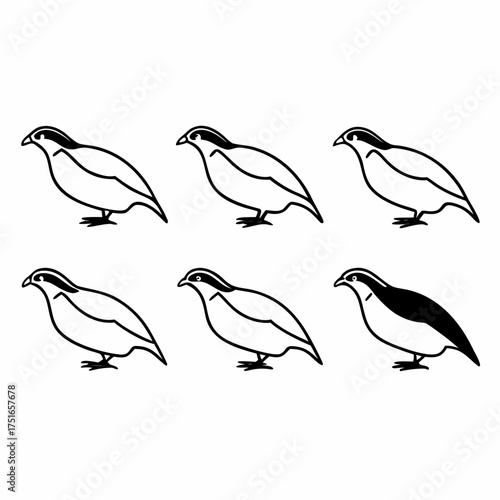 Six california quail in black and white, arranged in two rows of three
