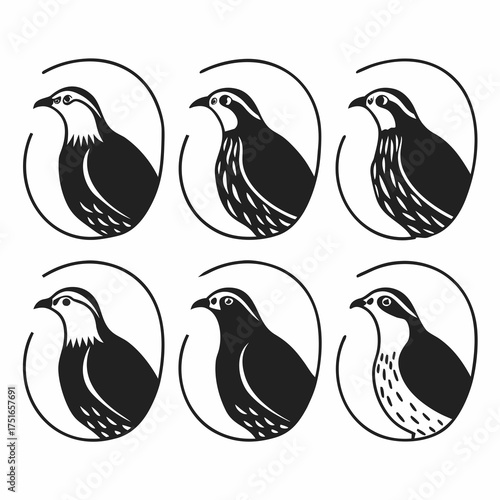 A seamless pattern of quail birds, perfect for textile or wrapping paper design
