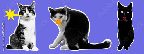 Open or closed communication. Paper cat, concept censorship, halftone collage. No signal, discrimination, disenfranchised, dictatorship. Open, closed mouth. Contemporary art, vector.
