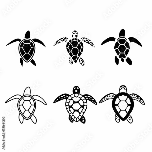 Illustration of six turtles, in various poses, drawn in black outline