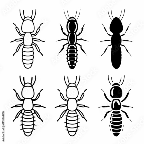 Set of termite silhouettes showing different castes and forms of these insects