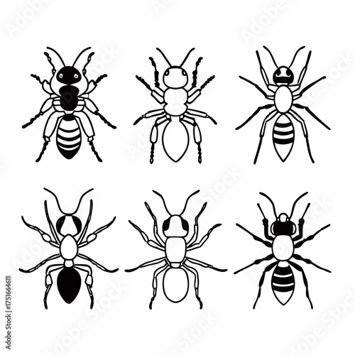 Collection of six ant illustrations, showcasing diverse shapes and patterns