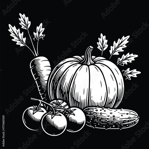 Monochrome illustration of fresh vegetables including pumpkin tomatoes carrot and cucumber