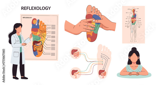 Understanding Reflexology Principles and Foot Zones for Holistic Well-being