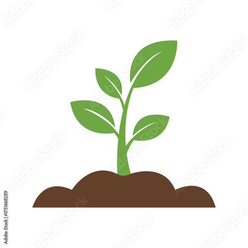 Green seedling sprouts from dark brown soil, indicating a fresh start on transparent background