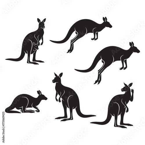 Silhouette collection of kangaroos in various poses against a white background
