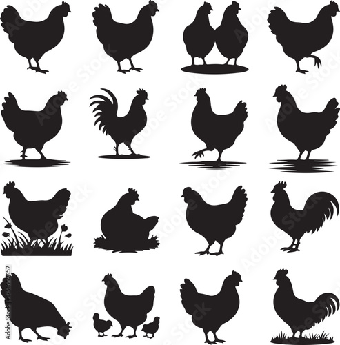 Chicken and rooster vector silhouette set for farm or poultry design