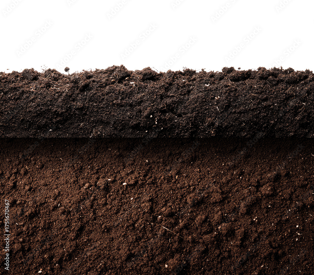 Fototapeta premium Close-up view of two layers of dark brown soil. The top layer is slightly uneven, with a rough texture visible. The bottom layer shows a similar texture, but is a bit darker. 