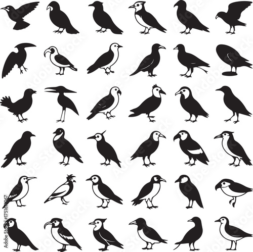 Collection of different bird species vector silhouettes on white background