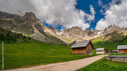 nature sceneries inside the Fuciade basin, Soraga di Fassa, Val di Fassa , Dolomites, Italy