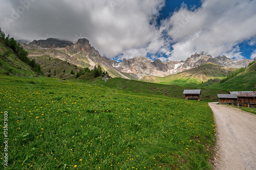nature sceneries inside the Fuciade basin, Soraga di Fassa, Val di Fassa , Dolomites, Italy