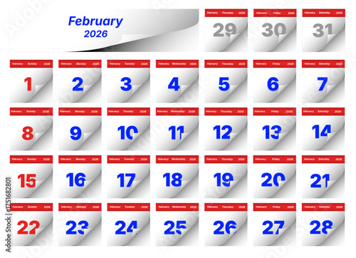 February 2026 calendar isolated on white background, featuring all 29 days with a clean and modern design, perfect for planning and scheduling events