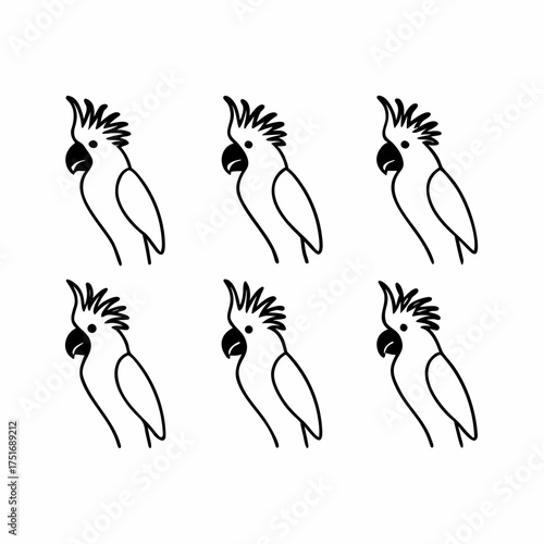 Six cockatoos in a row, a simple and elegant design with clean lines