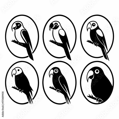 Collection of six black parrot icons in circles, showcasing diverse parrot designs