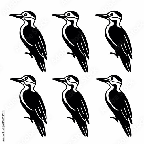 Six black woodpecker silhouettes, creating a nature inspired design element