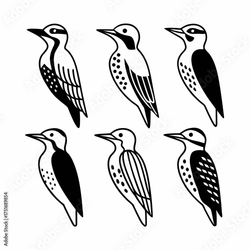 Collection of six woodpecker bird icons in black and white vector illustration