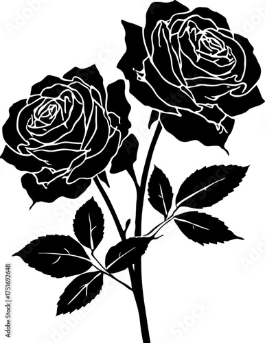 black and white Two roses