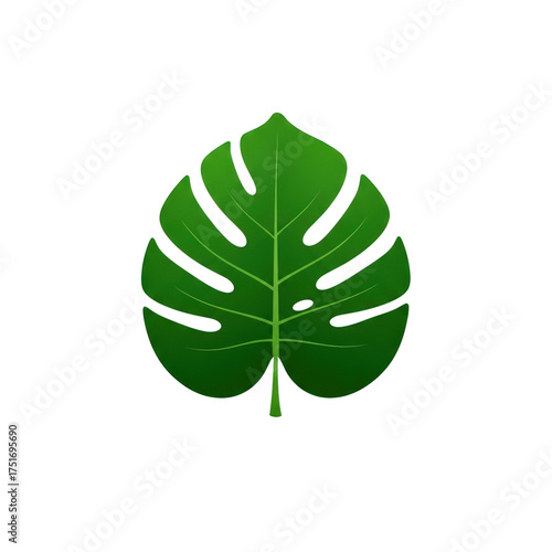 A vibrant green monstera leaf with intricate cutouts isolated on transparent background