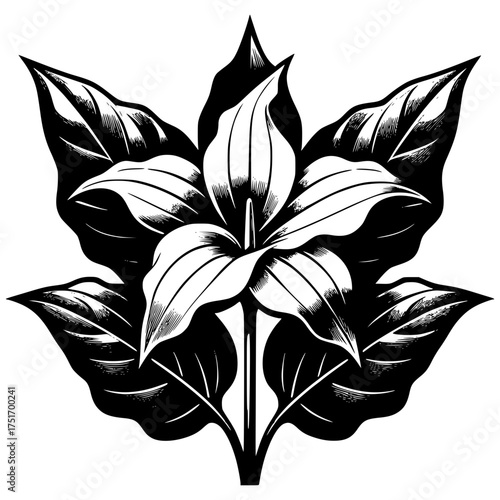Trillium Black vector icon with transparent background 