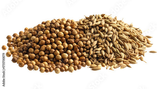 Two piles of dry spices round and oval shapes, earthy colors