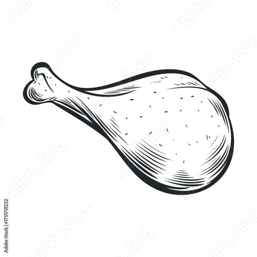 Freshly cooked chicken drumstick for delicious meals and recipes. Vector hand drawn illustration