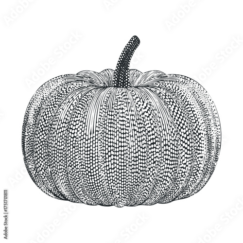 Vintage pumpkin design for autumn decoration and crafts. Vector hand drawn illustration