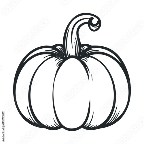 Classic pumpkin design for autumn decoration and seasonal events. Vector hand drawn illustration