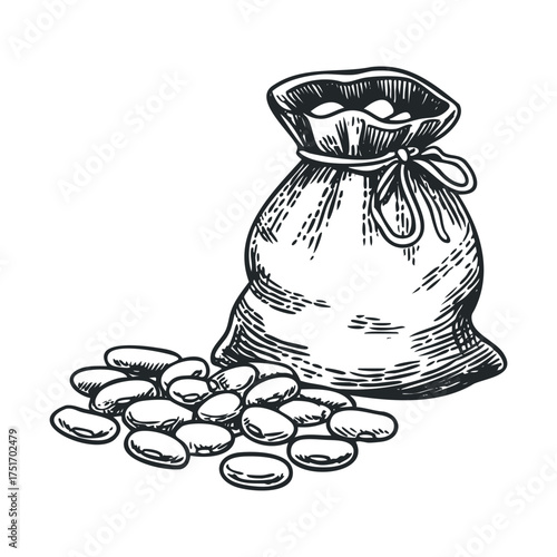 Bean bag with scattered beans on a clean surface. Vector hand drawn illustration