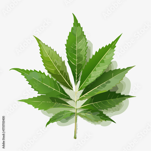 Lush green compound leaf vector illustration, showcasing intricate natural patterns and vibrant botanical hues, ideal for eco-friendly designs and plant-themed projects