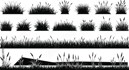 Black silhouette grass clumps and reeds on white background nature