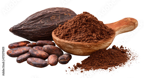 Cocoa beans and powder in a wooden spoon.  Dark brown cocoa beans, a pod, and cocoa powder are displayed.  A wooden spoon holds cocoa powder