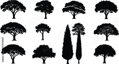 Collection of black tree silhouettes with varied foliage and shapes white background nature
