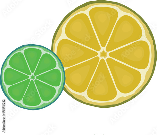 Lemon and Lime Citrus Slices