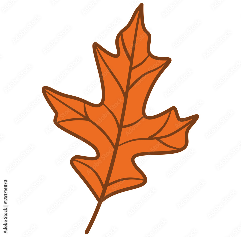 Obraz premium autumn leaf