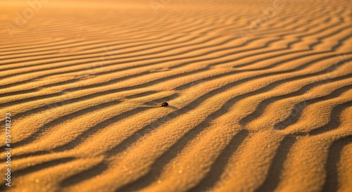 Fototapeta Naklejka Na Ścianę i Meble -  Sand dunes with a small insect in the middle.