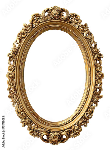 Ornate gold oval frame (2)