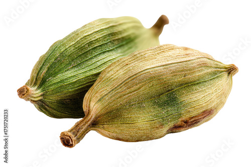 Wallpaper Mural Close-up of two cardamom pods.  Light green and pale yellow-tan hues.  Distinct leaf-like patterns.  Isolated against a black background Torontodigital.ca