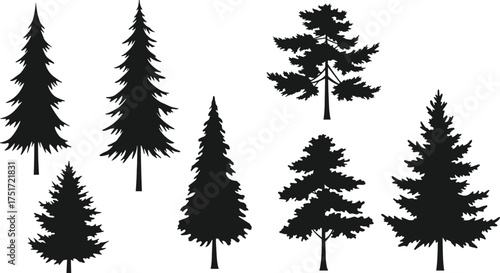 Black coniferous tree silhouettes of six different shapes showing unique branching patterns, foliage density, natural forest design, ecology, environment, landscape illustration