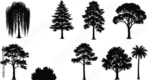 Black tree and bush silhouettes with different shapes, branches, foliage, palm, conifer, willow, natural forest design, abstract vector illustration