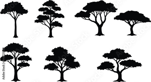 Black tree silhouettes of seven different shapes showing diverse branching patterns, canopy structures, foliage density, natural design, forest, ecology, landscape illustration