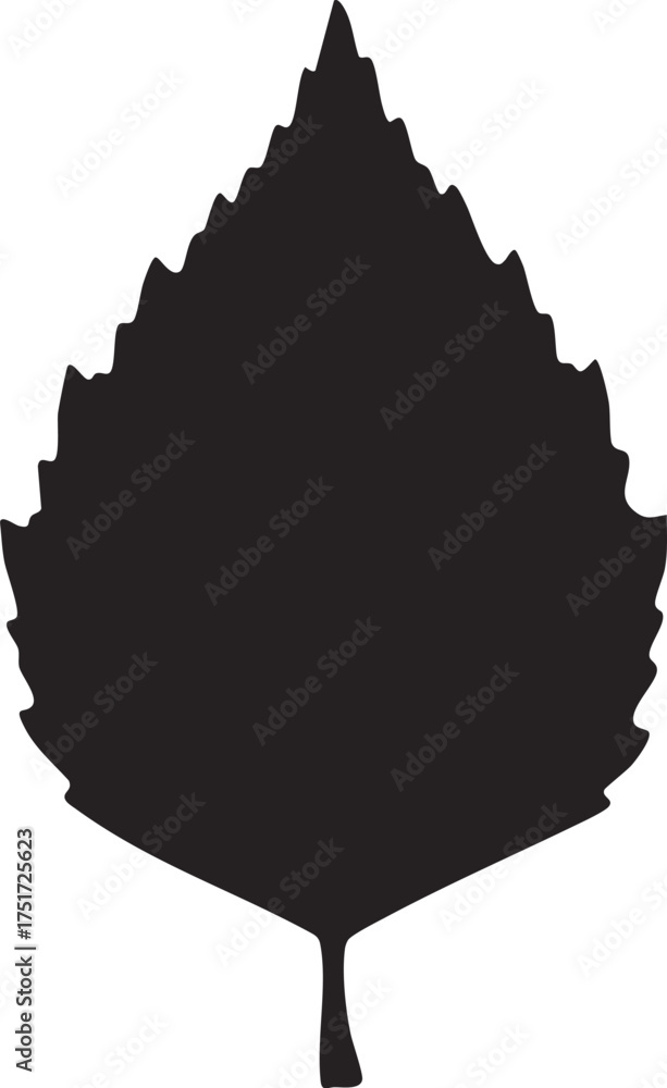 Fototapeta premium Birch leaf vector illustration on white background