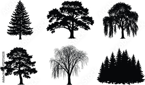 gBlack tree silhouettes of six different shapes showing unique branching patterns, canopy structures, foliage density, natural design, forest, ecology, landscape illustration