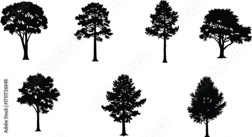 Black tree silhouettes of six different species showing unique branching patterns, canopy structures, foliage density, natural design, forest, ecology, landscape illustration