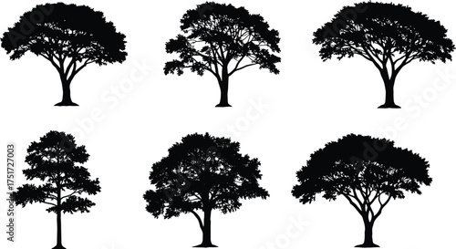 Black tree silhouettes with different canopy shapes, foliage, branches, natural forest elements, outdoor landscape design, countryside nature, abstract vector illustration artwork