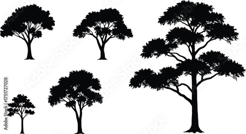 Black tree silhouettes with different shapes, branches, foliage, natural design, forest elements, landscape illustration, nature concept, abstract vector artwork