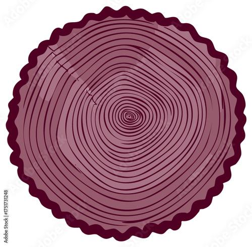 Burgundy cross section of a sawn log with annual growth rings and wavy bark border.