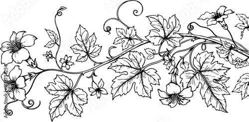 Bild auf Leinwand Elegant vine with blooming flowers and detailed leaves creates a timeless botani